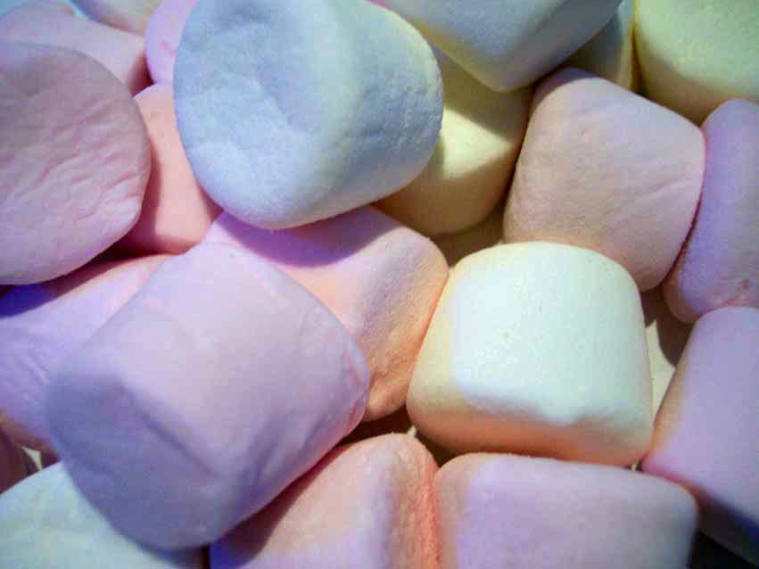 Marshmallow box · La Fleur
